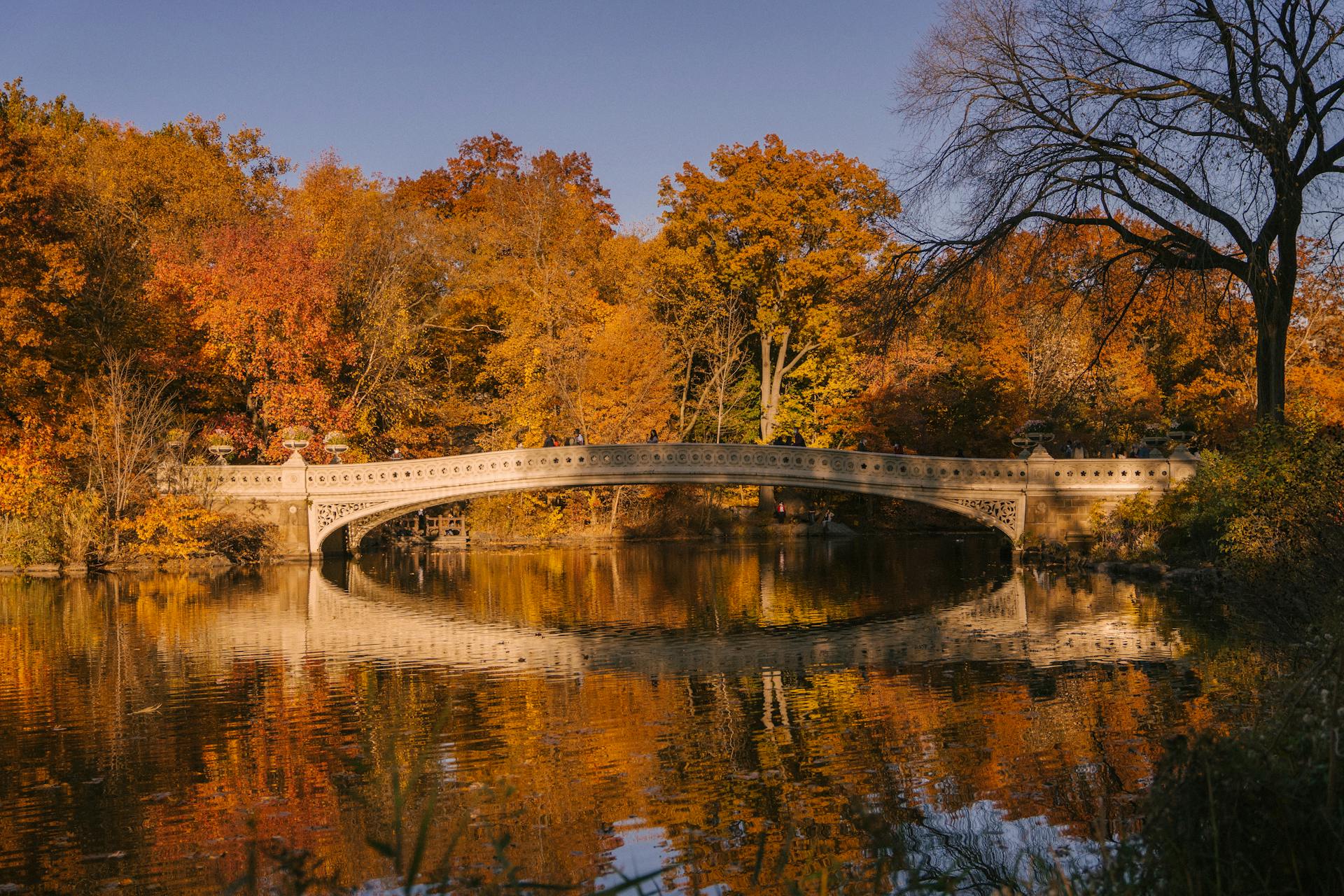 Central Park Luggage Storage Guide 2025